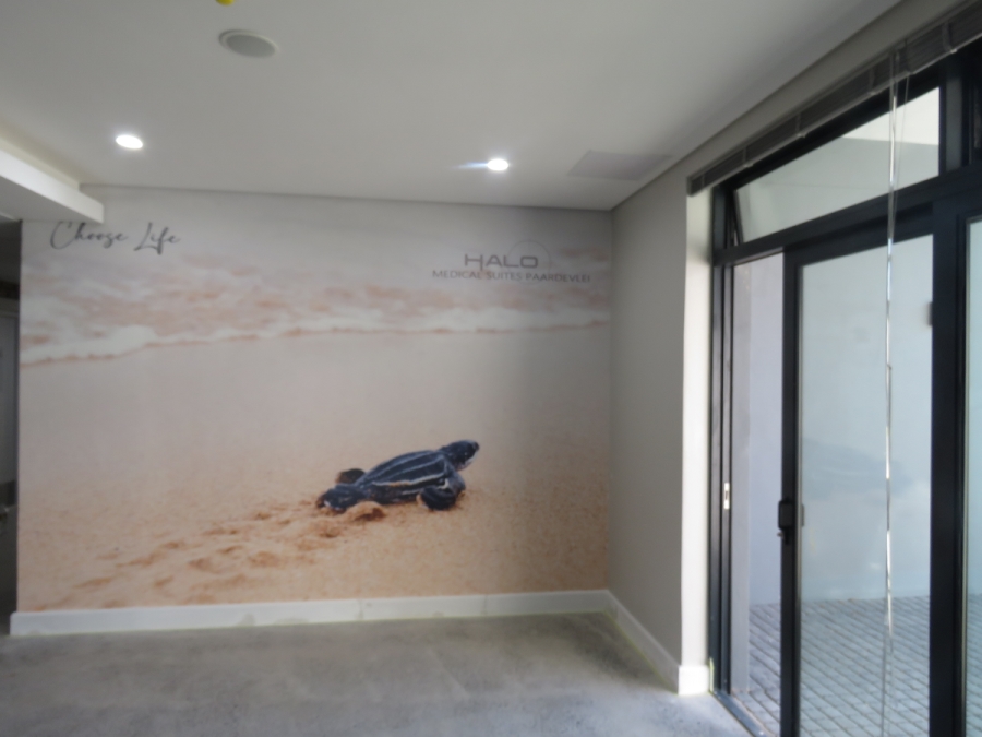 To Let commercial Property for Rent in Paardevlei Western Cape